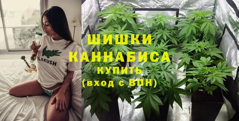 гидра tor  закладки  Красноперекопск  Каннабис White Widow 